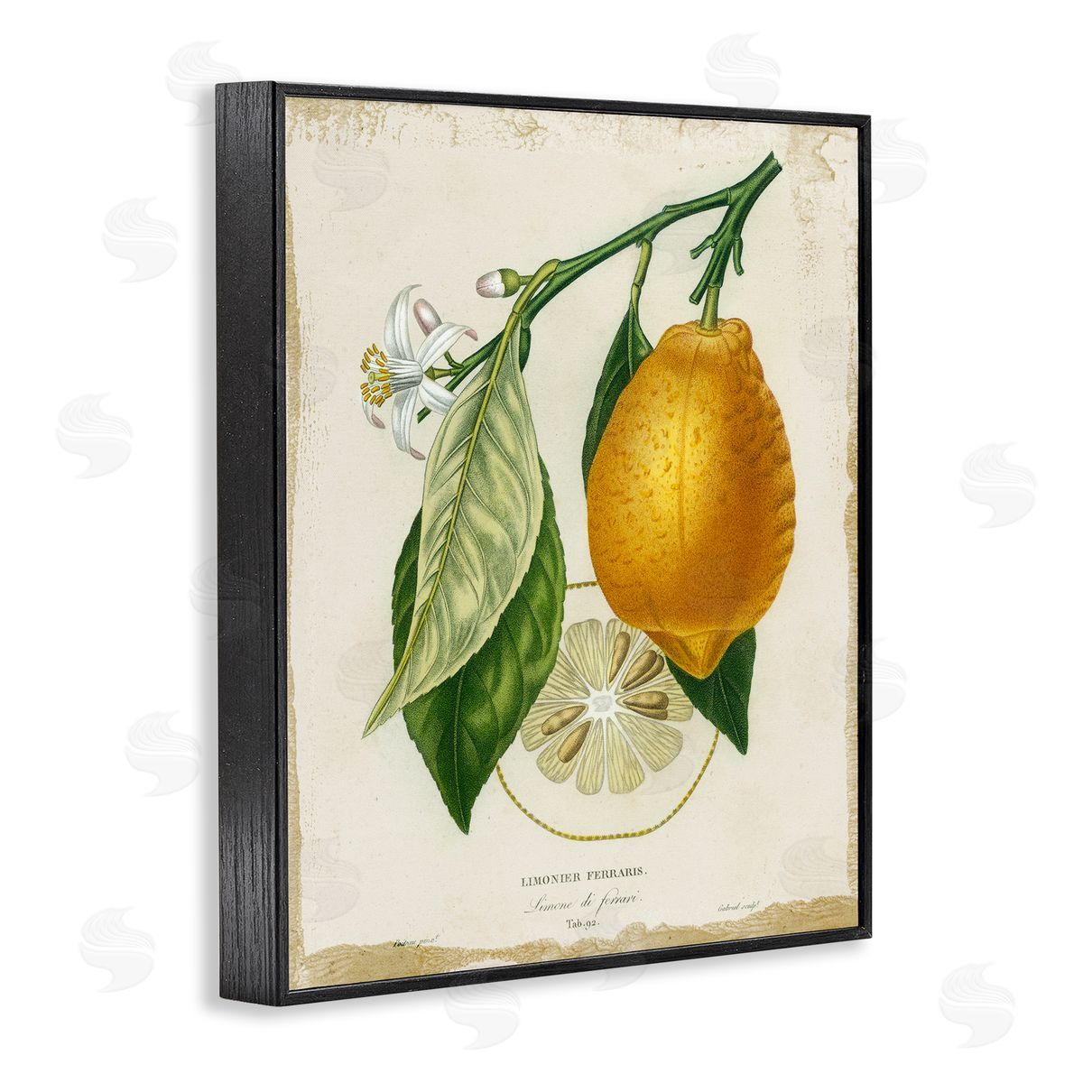 Vintage French Lemon Branch Black Frame Print Wall Art, Home Decor by Studio W