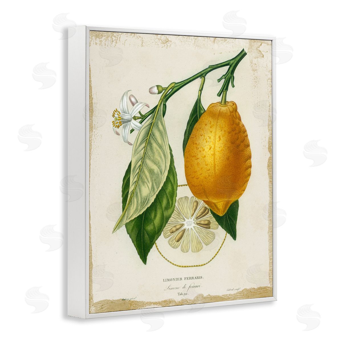 Vintage French Lemon Branch White Frame Print Wall Art, Home Decor by Studio W
