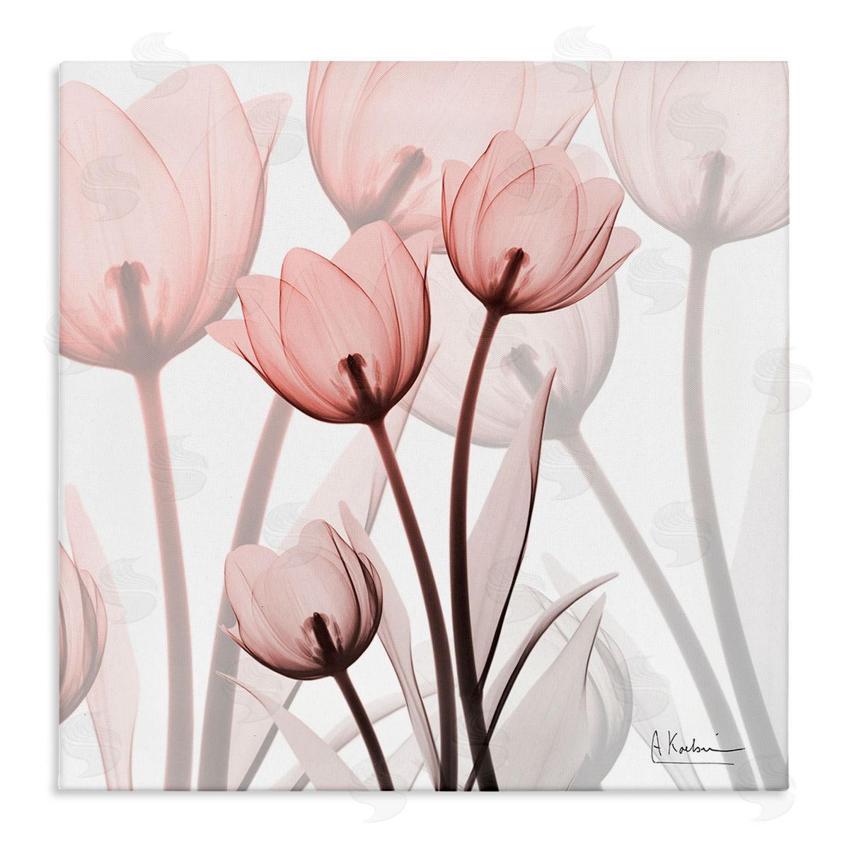 Albert Koetsier Red Floral Silhouettes Modern Photograph Canvas Wall Art