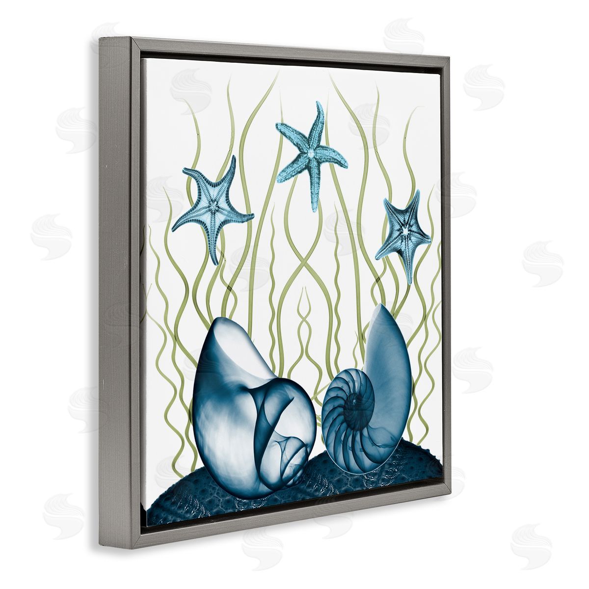 Albert Koetsier Shells and Starfish Modern Sea Design Gray Floater Frame Canvas Art