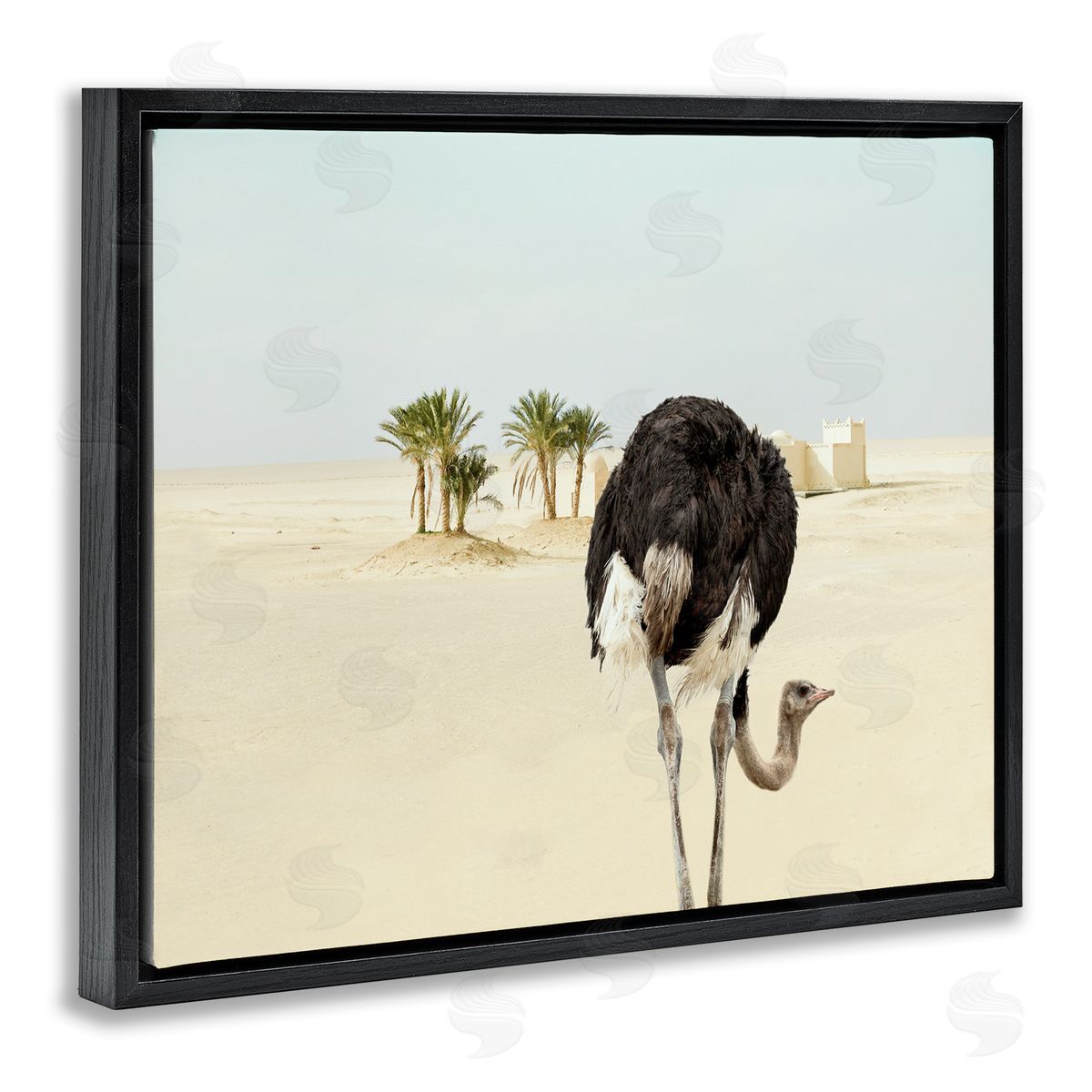 Ziwei Li Desert Ostrich Sand Landscape Black Floater Frame Canvas Art