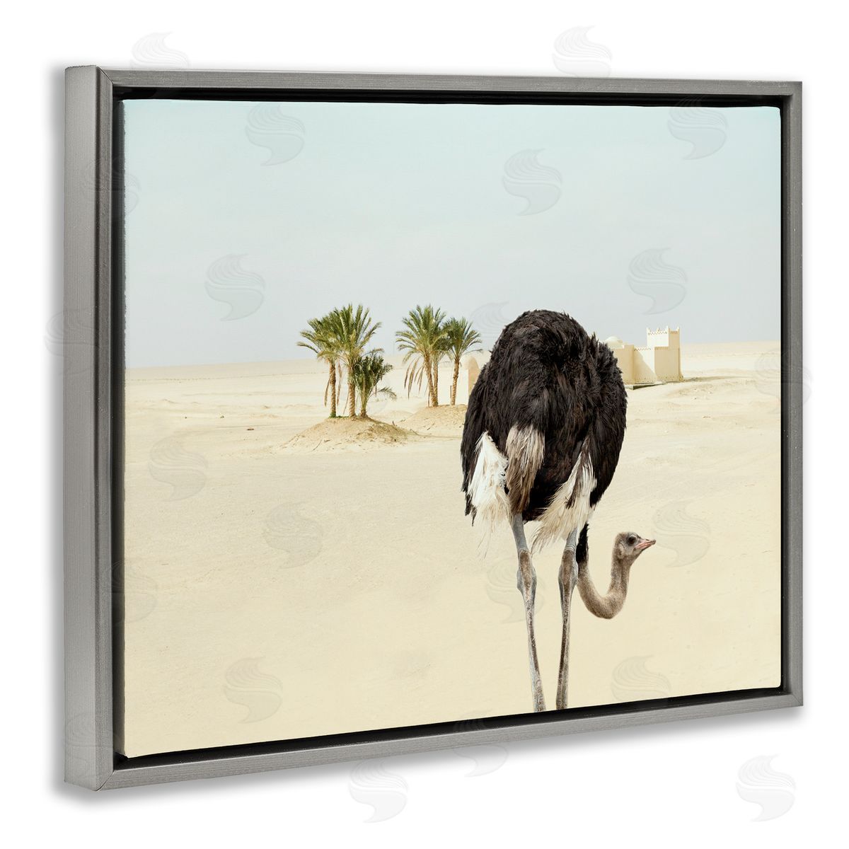 Ziwei Li Desert Ostrich Sand Landscape Gray Floater Frame Canvas Art