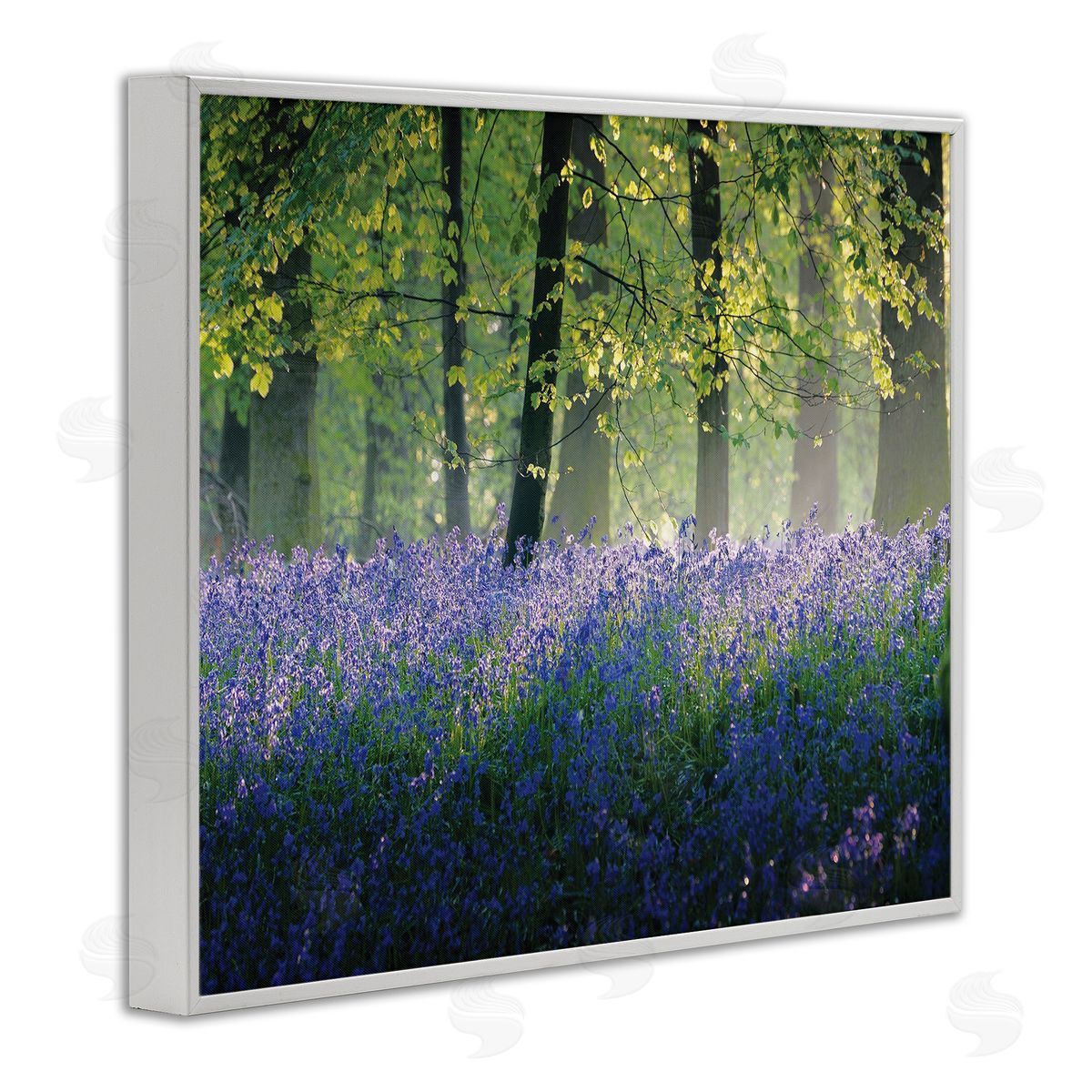 Adelino Goncalves Floral Lavender Field Morning Light  White Framed Giclee Wall Art