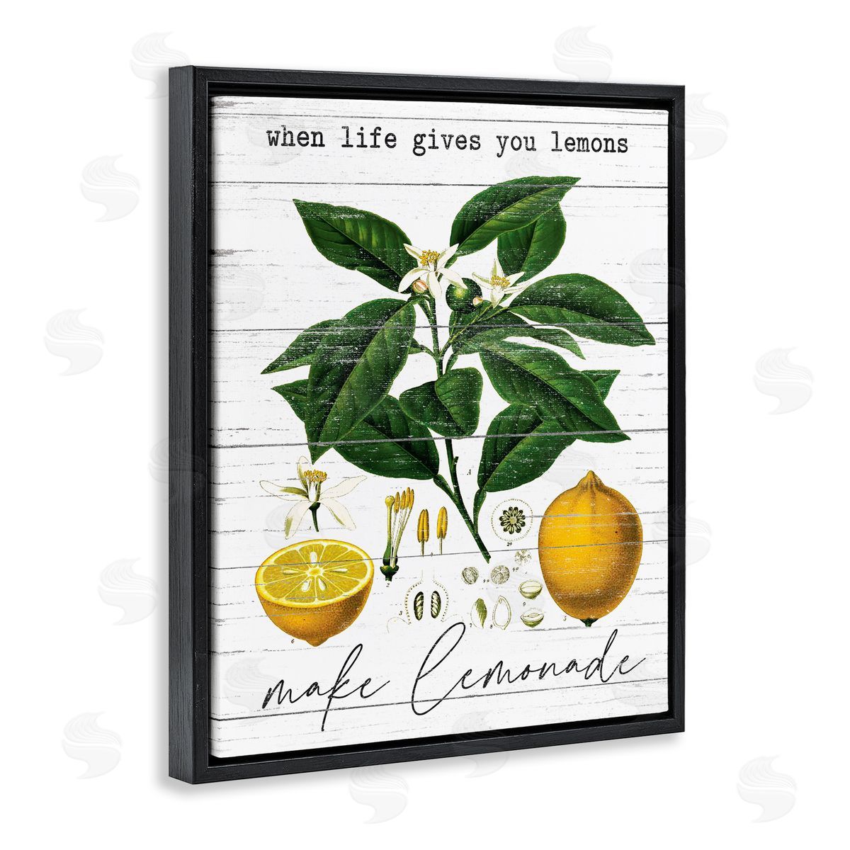 Lettered and Lined Life Gives Lemons Country Fruit Black Floater Frame Canvas Art