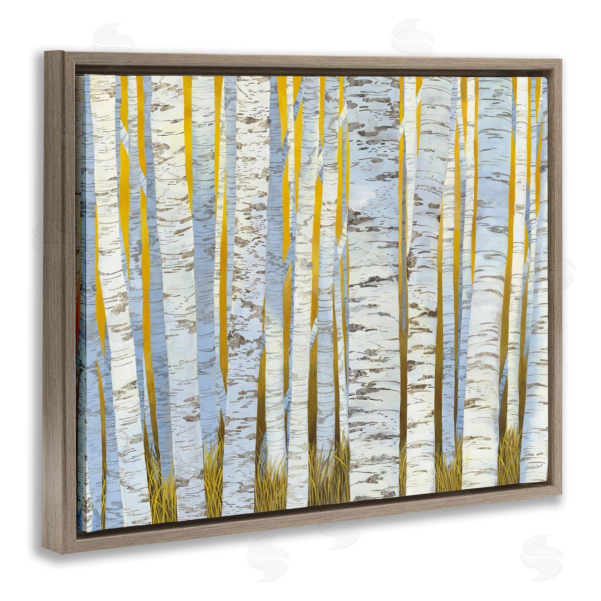 Katherine Lovell Birch Tree Forest Golden Grass Brown Floater Frame Canvas Art