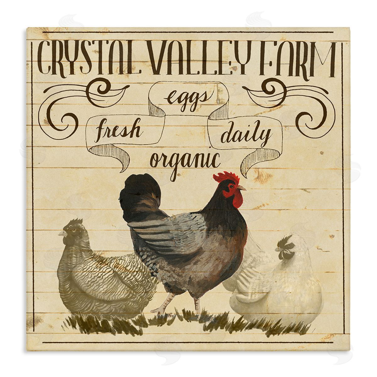 Grace Popp Organic Farm Eggs Vintage Canvas Wall Art