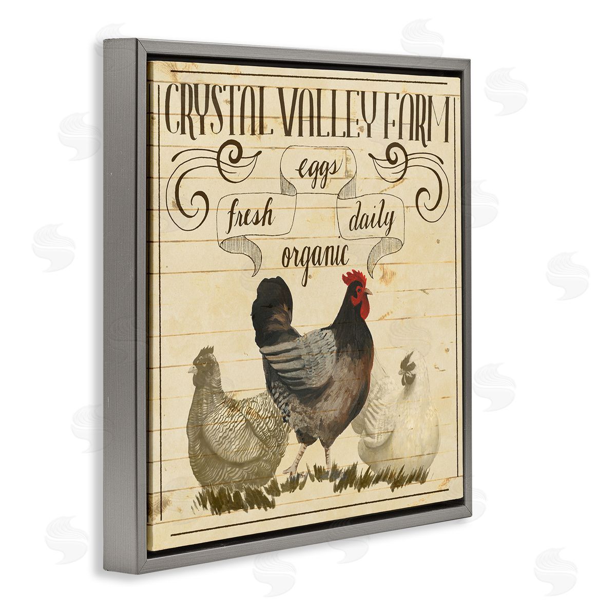Grace Popp Organic Farm Eggs Vintage Gray Floater Frame Canvas Art