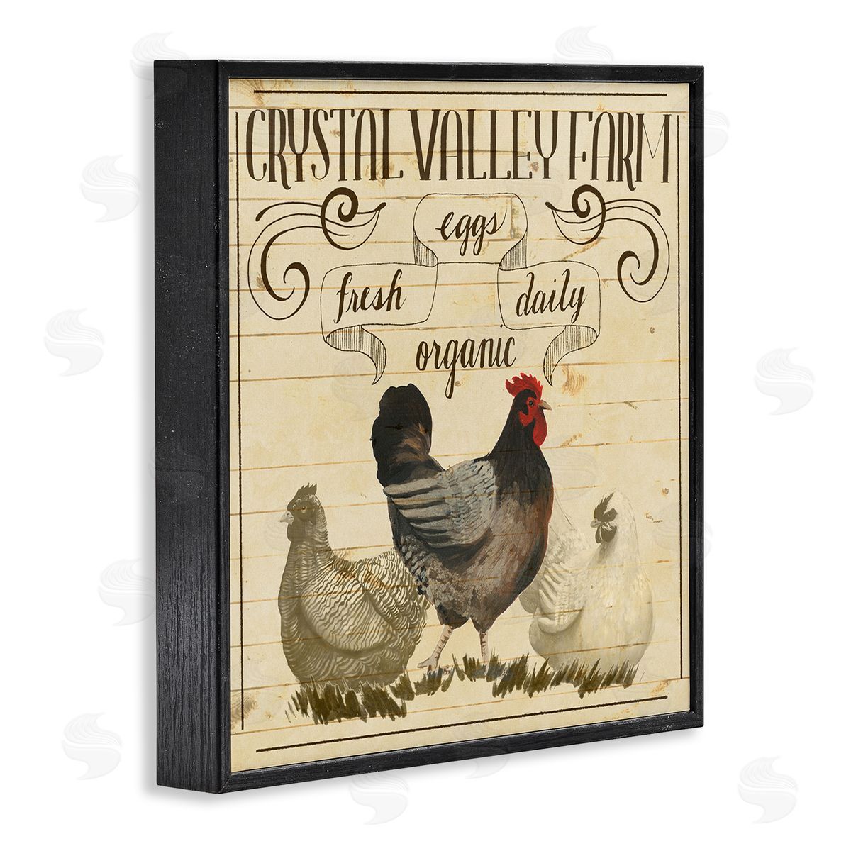 Grace Popp Organic Farm Eggs Vintage Black Framed Giclee Wall Art