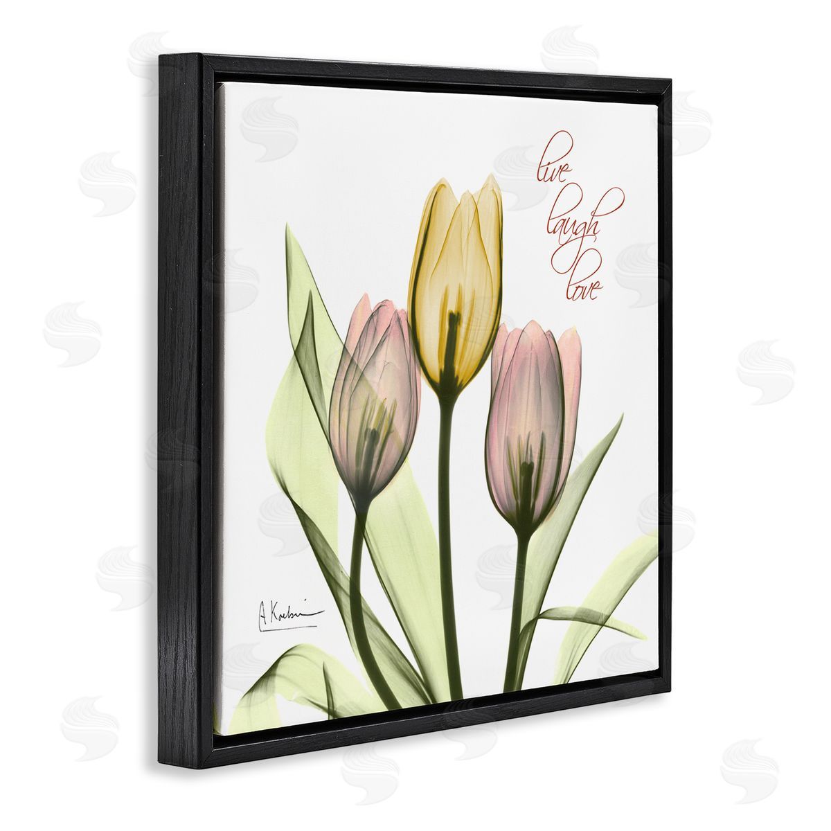 Live Laugh Love Tulips Black Floating Frame Canvas Wall Art, Home Decor by Albert Koetsier
