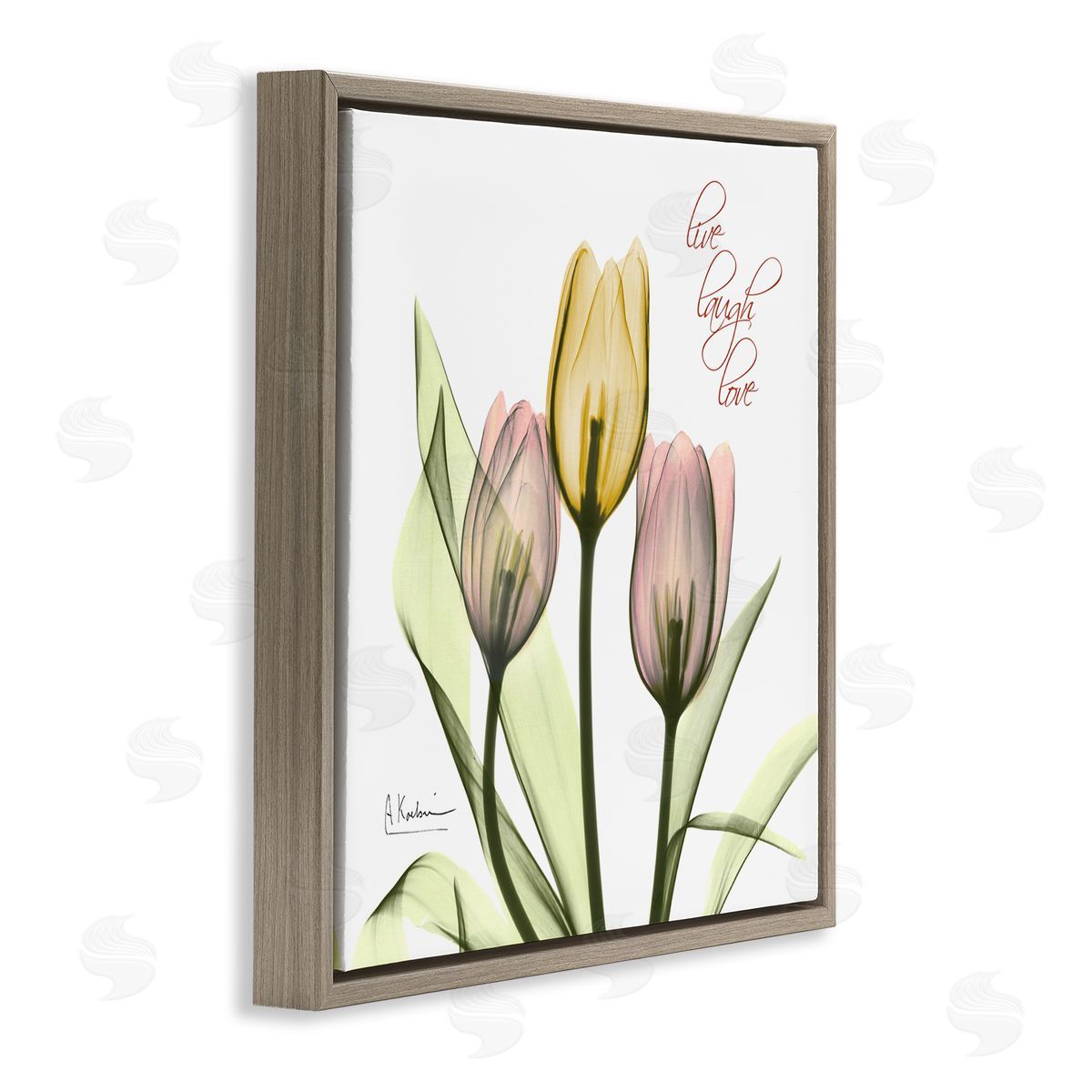 Live Laugh Love Tulips Brown Floating Frame Canvas Wall Art, Home Decor by Albert Koetsier