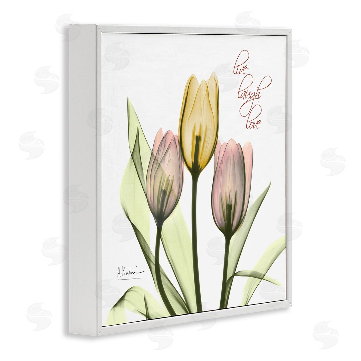 Live Laugh Love Tulips White Frame Print Wall Art, Home Decor by Albert Koetsier