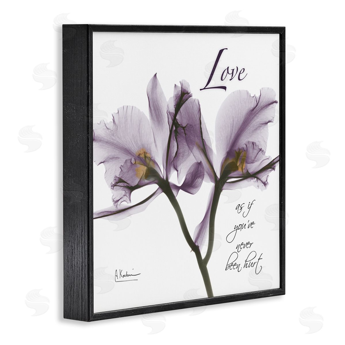 Albert Koetsier Love Like Never Hurt Purple Orchid Black Framed Giclee Wall Art