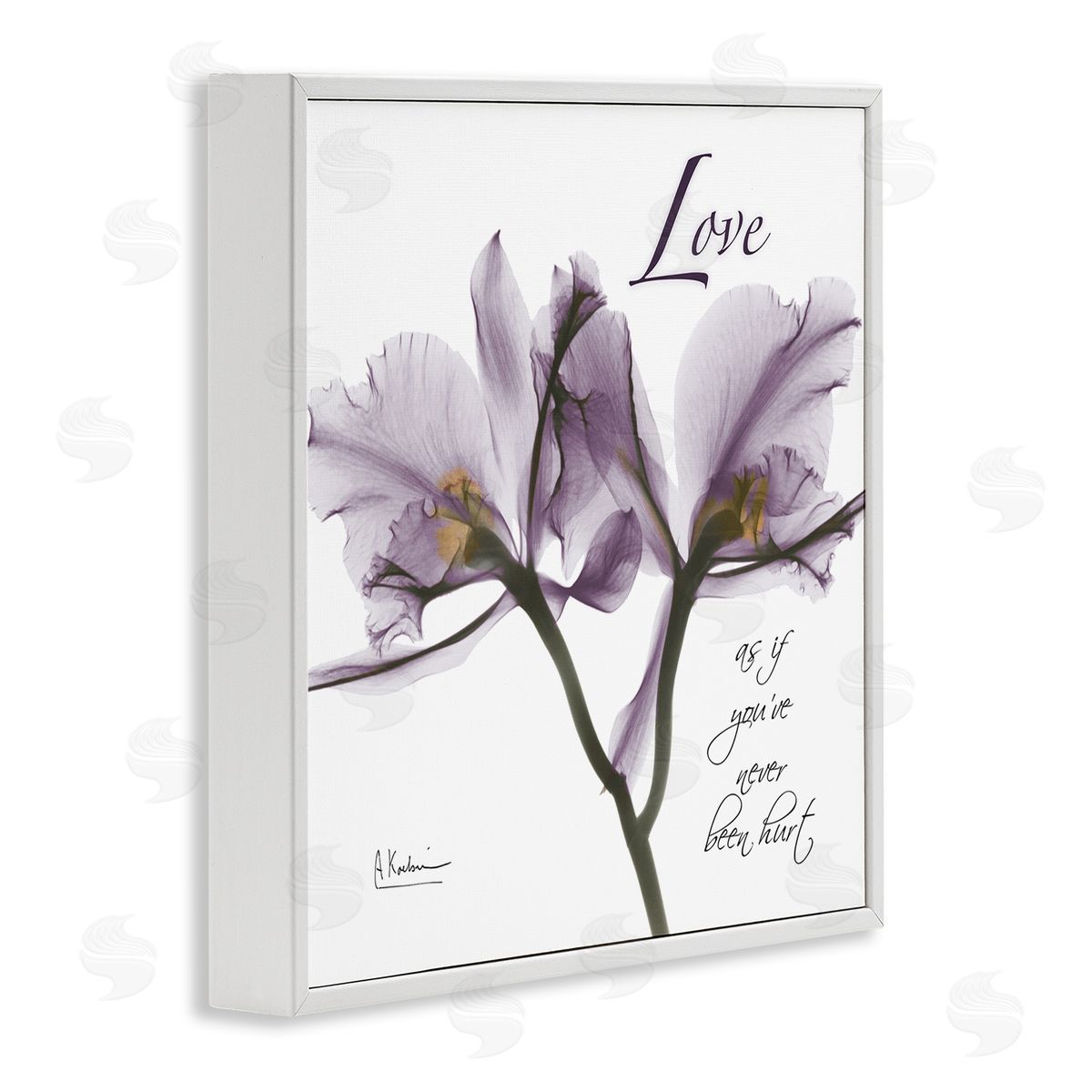 Albert Koetsier Love Like Never Hurt Purple Orchid White Framed Giclee Wall Art