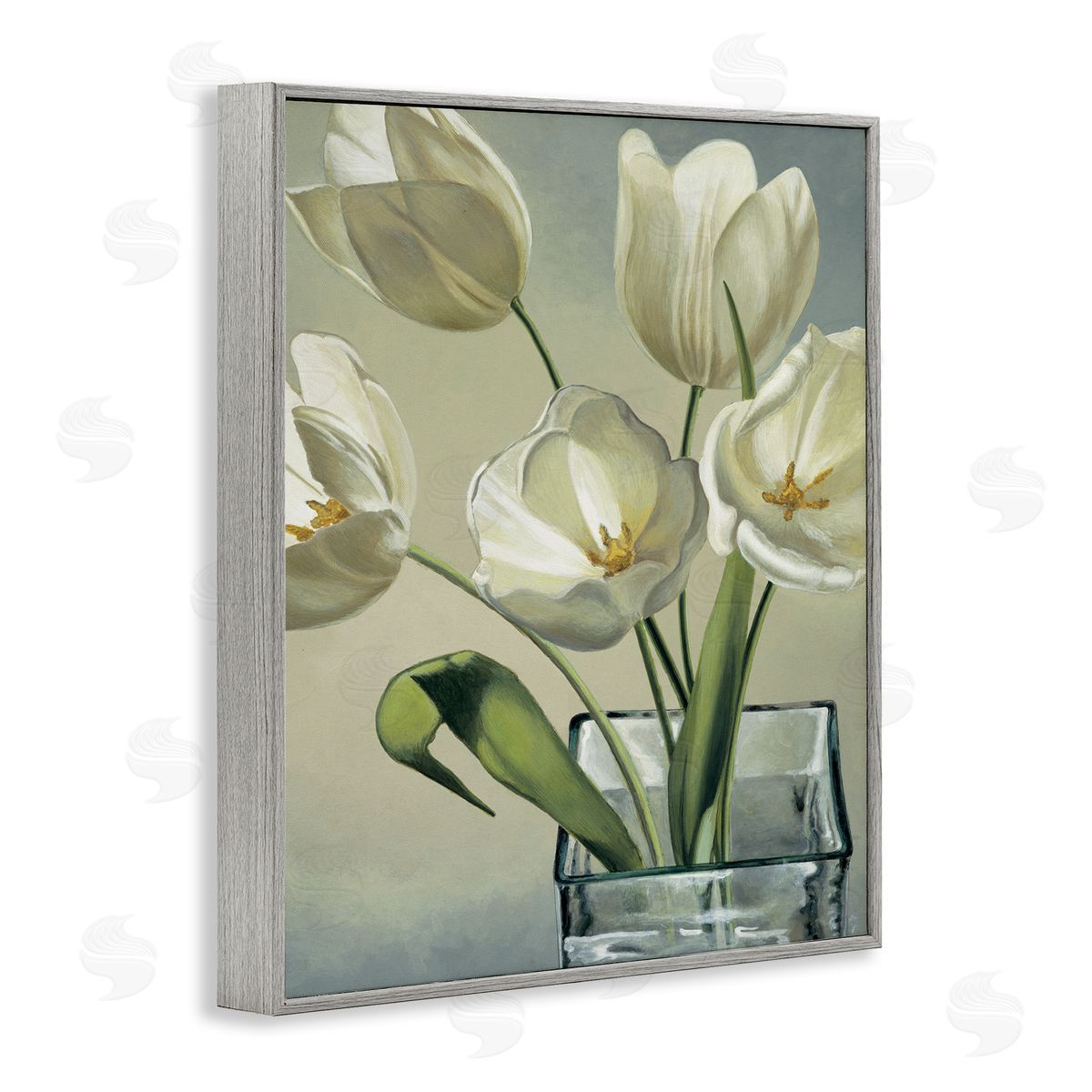Eva Barberini Soft White Tulip Blossoms Gray Framed Giclee Wall Art