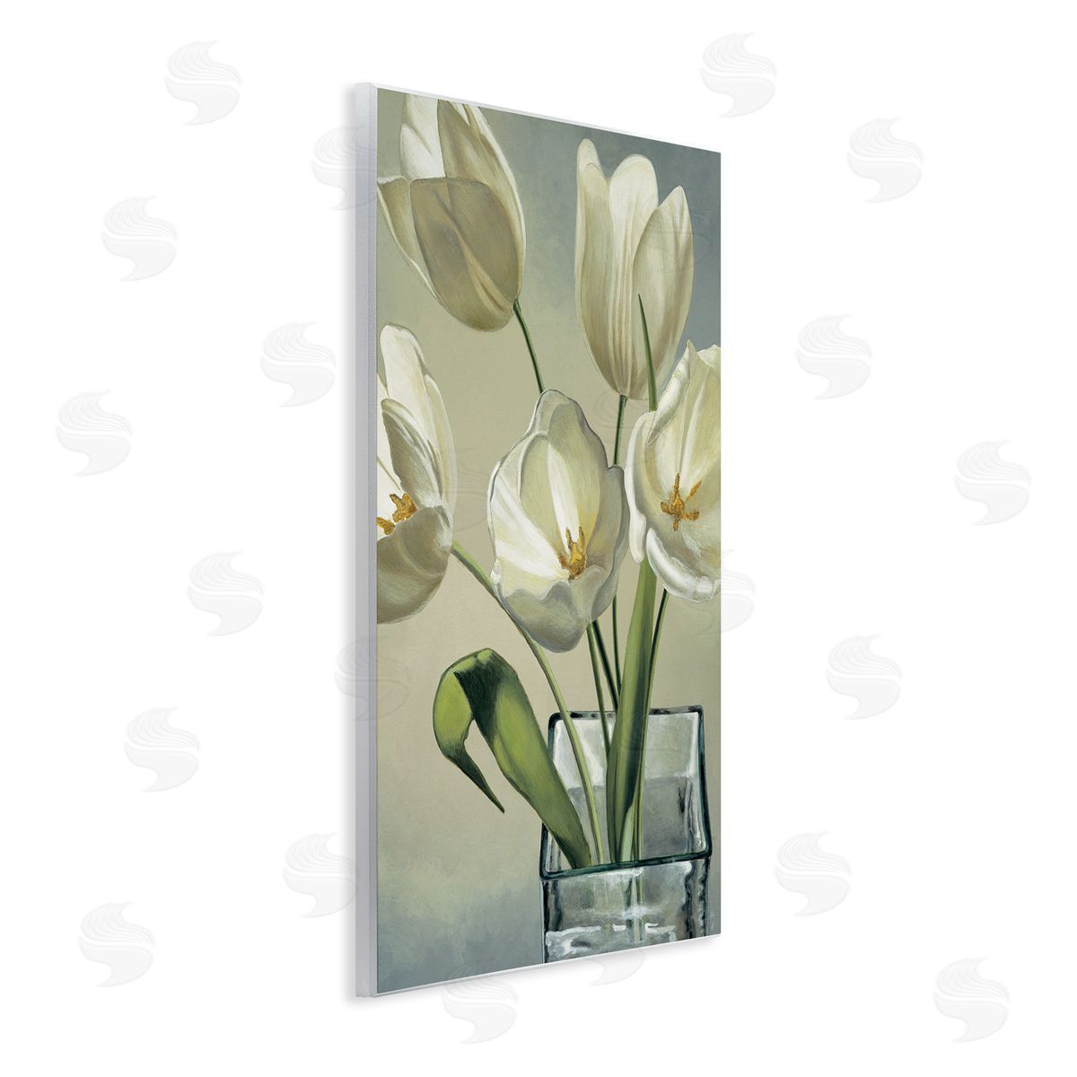 Eva Barberini Soft White Tulip Blossoms Wall Plaque Art