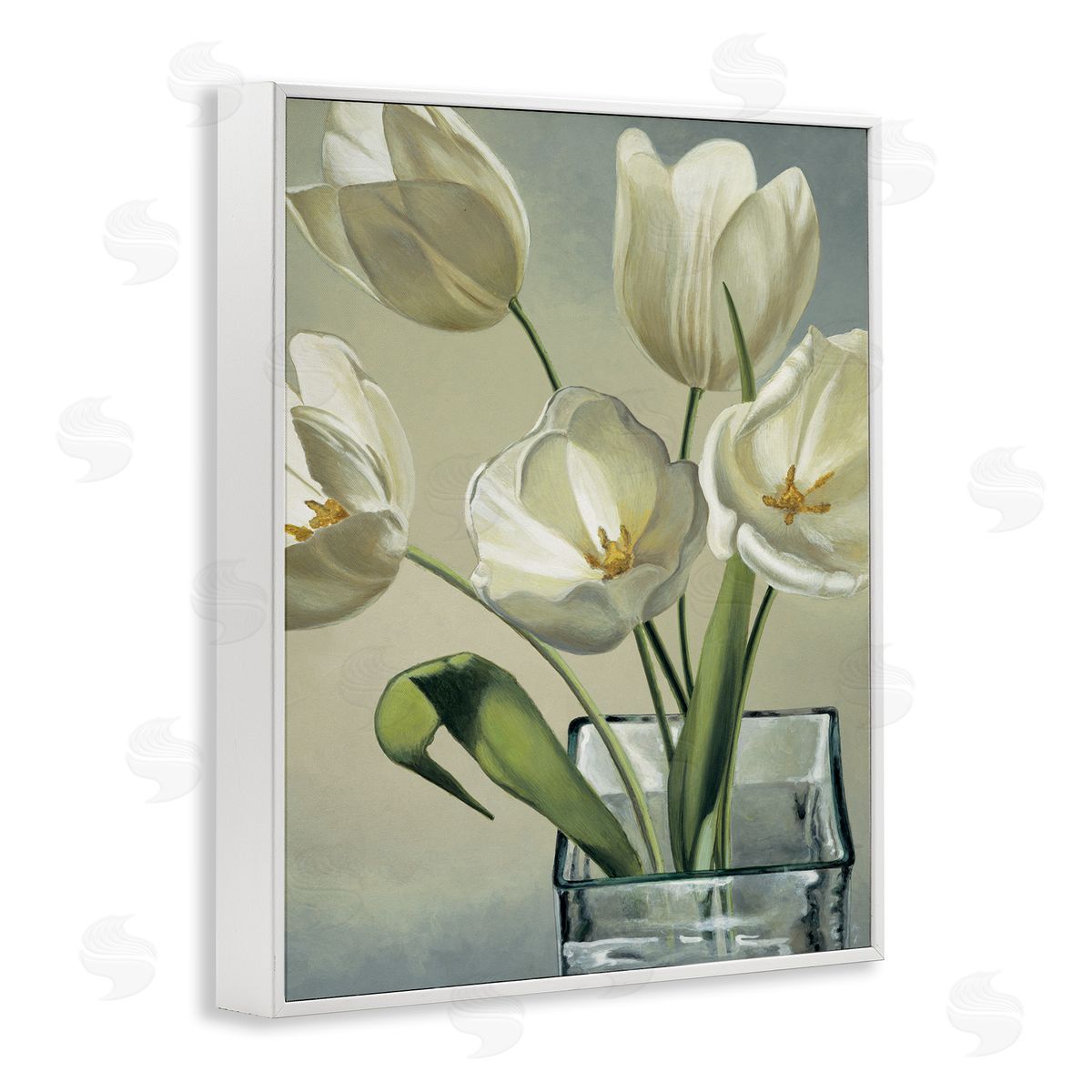 Eva Barberini Soft White Tulip Blossoms White Framed Giclee Wall Art