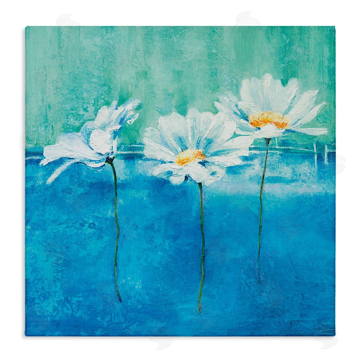 Isabelle Herbert Abstract Blue Pop White Daisy Canvas Wall Art