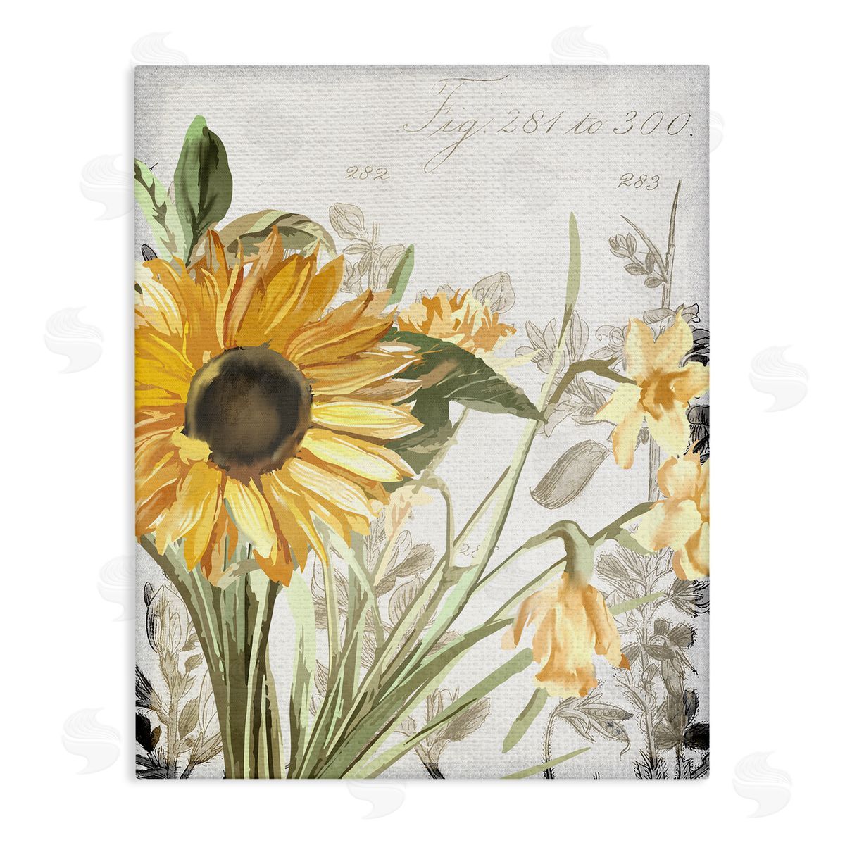 Kim Allen Sunflower Floral over Vintage Plant Canvas Wall Art
