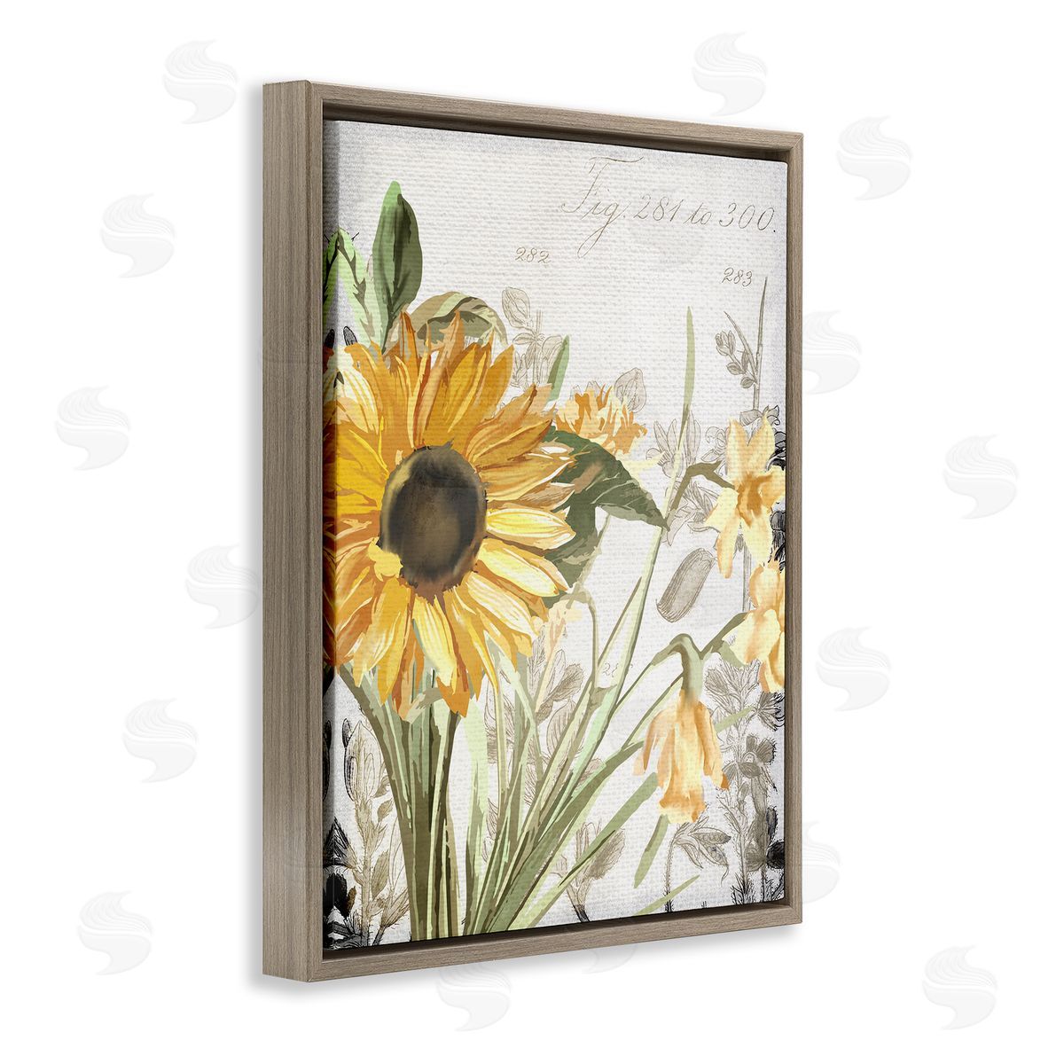 Kim Allen Sunflower Floral over Vintage Plant Brown Floater Frame Canvas Art