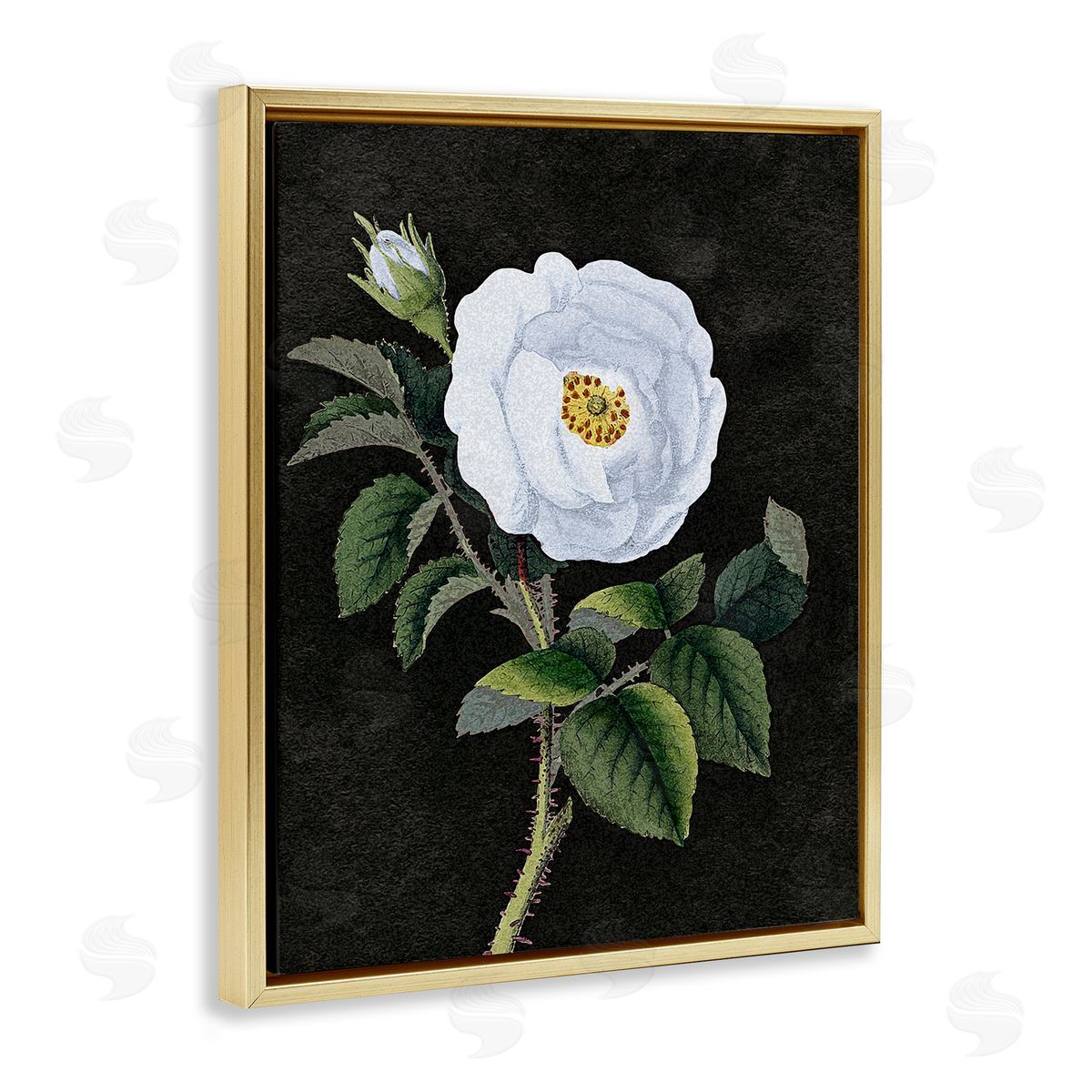 Stupell Studio White Poppy Illustration Vintage Gold Floater Frame Canvas Art