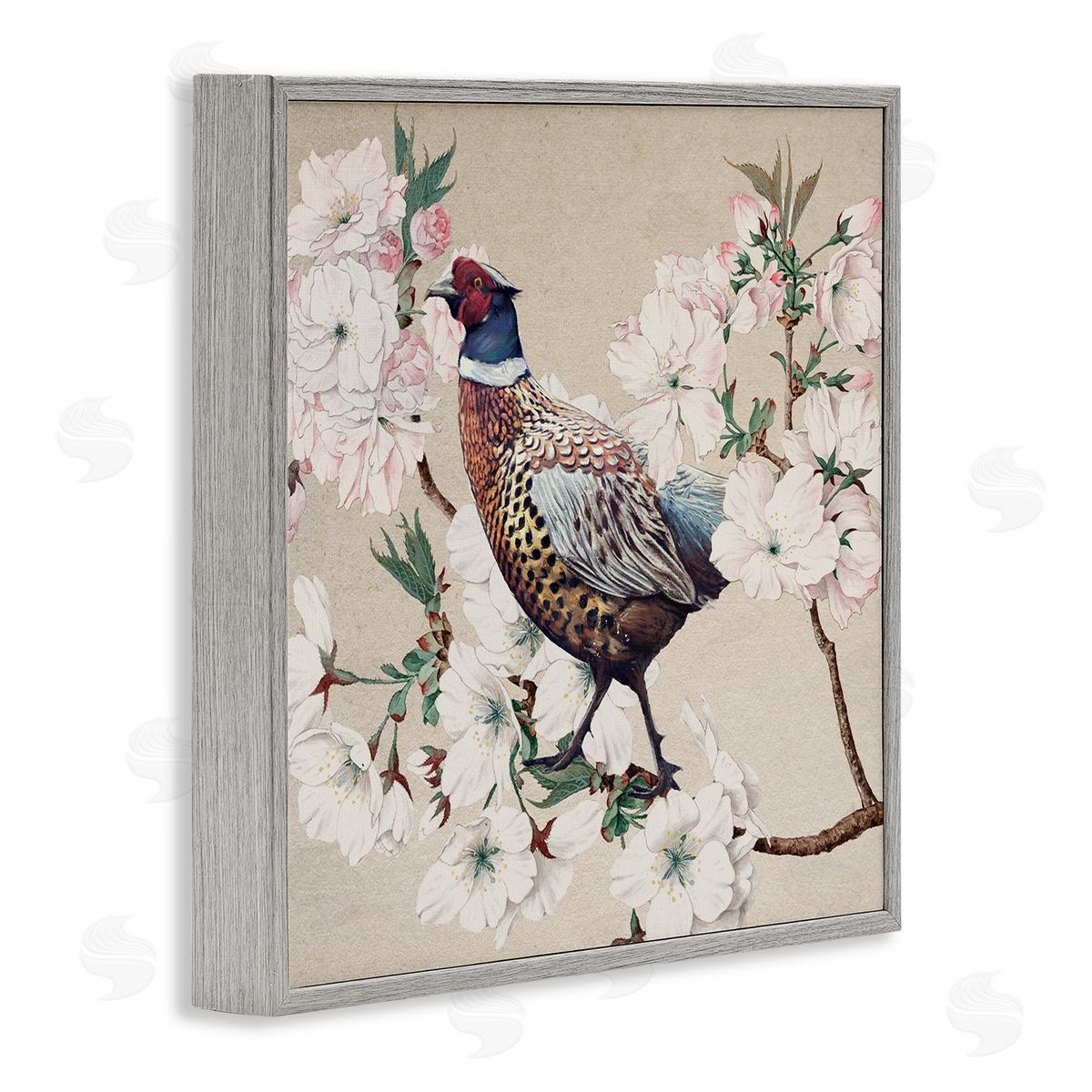 Ziwei Li Vintage Wild Turkey Pink Tree Blossoms  Gray Framed Giclee Wall Art