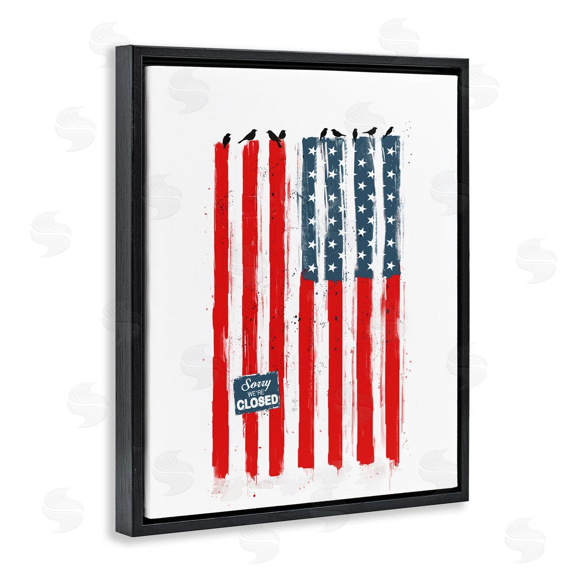 Balazs Solti American Flag Birds Political Statement Black Floater Frame Canvas Art