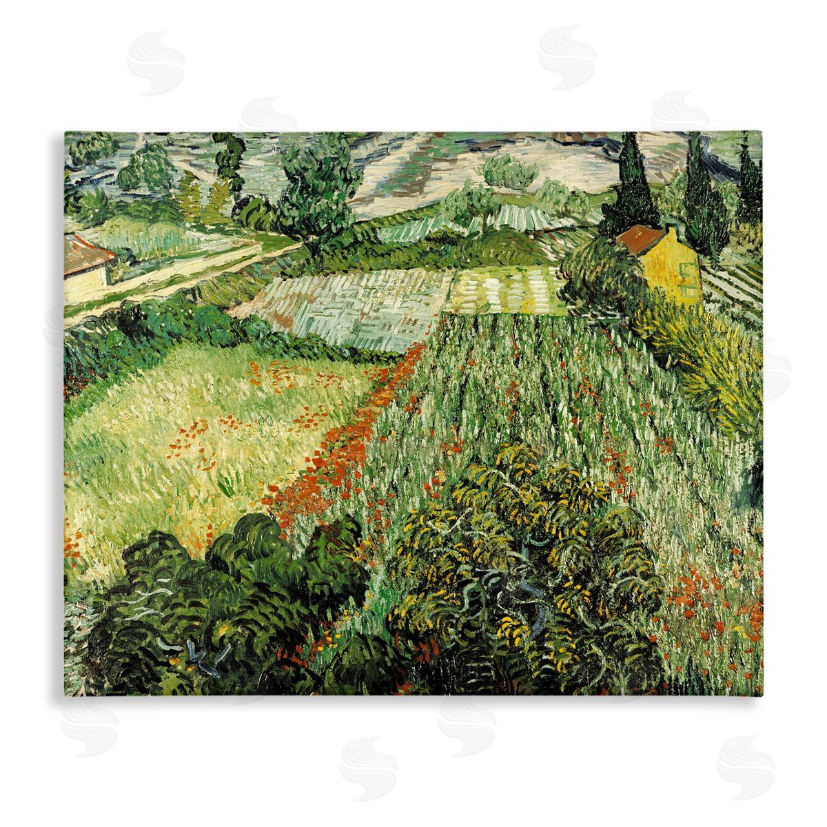 Vincent Van Gogh Classic Van Gogh Feld Mit Mohnblumen Canvas Wall Art