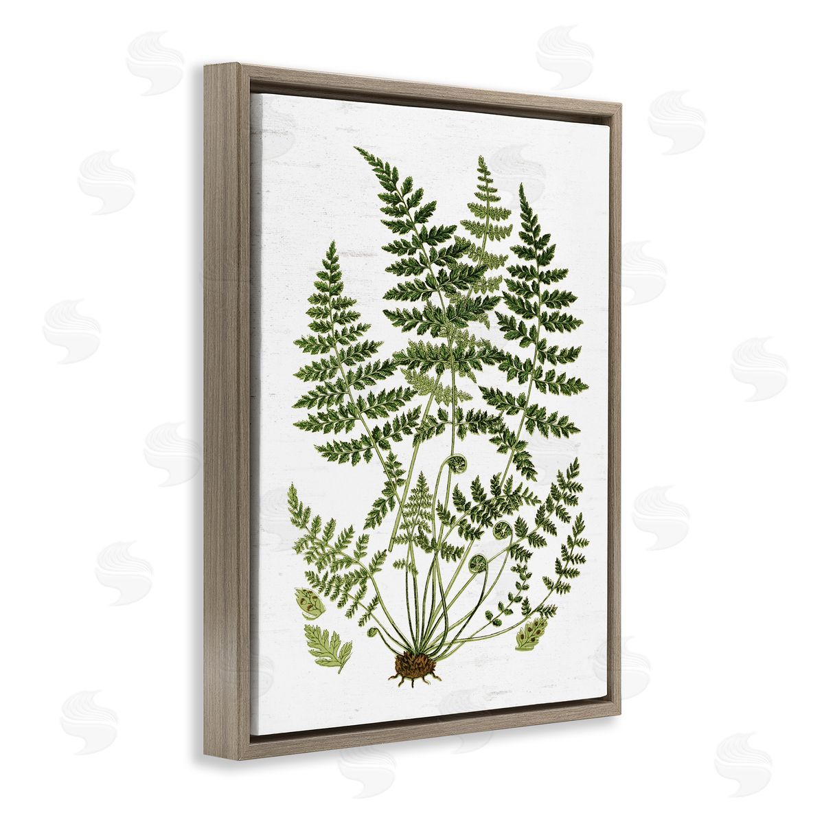 Lettered and Lined Forest Botanicals Charming White Willow Greenery Brown Floater Frame Canvas Art