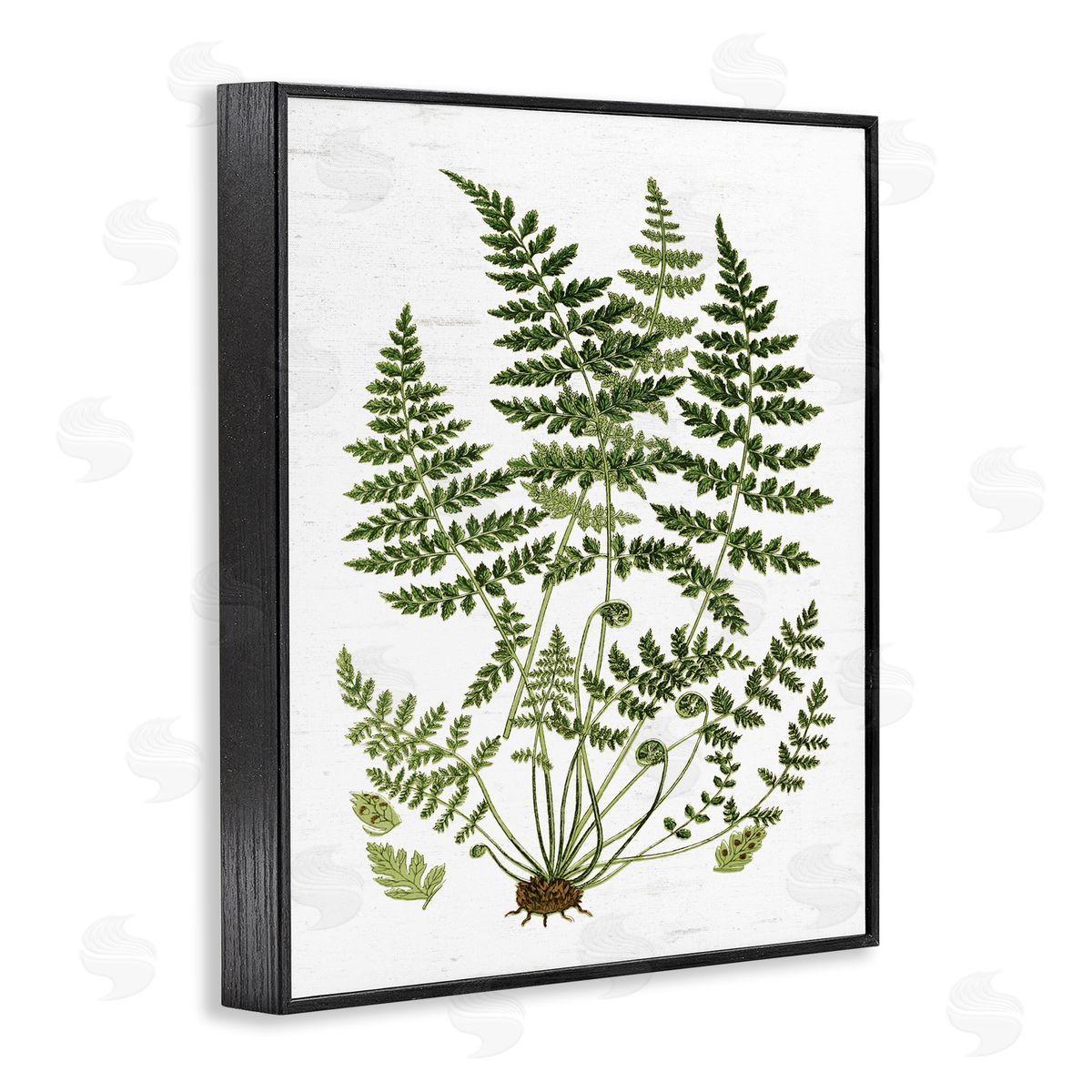 Lettered and Lined Forest Botanicals Charming White Willow Greenery Black Framed Giclee Wall Art