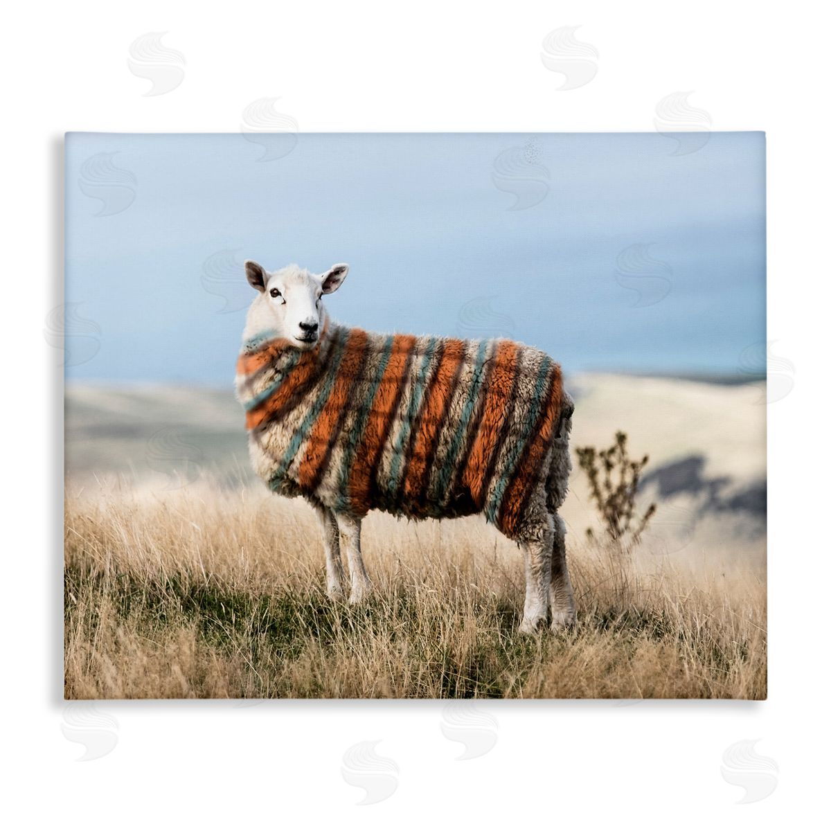 Ziwei Li Sweater Weather Sheep Animal Farm Plaid Canvas Wall Art