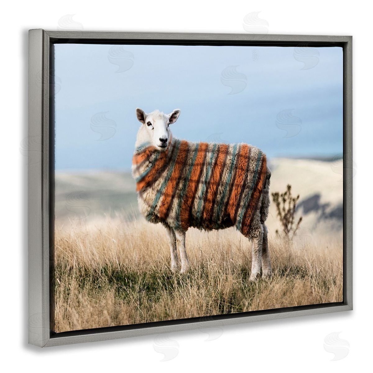 Ziwei Li Sweater Weather Sheep Animal Farm Plaid Gray Floater Frame Canvas Art