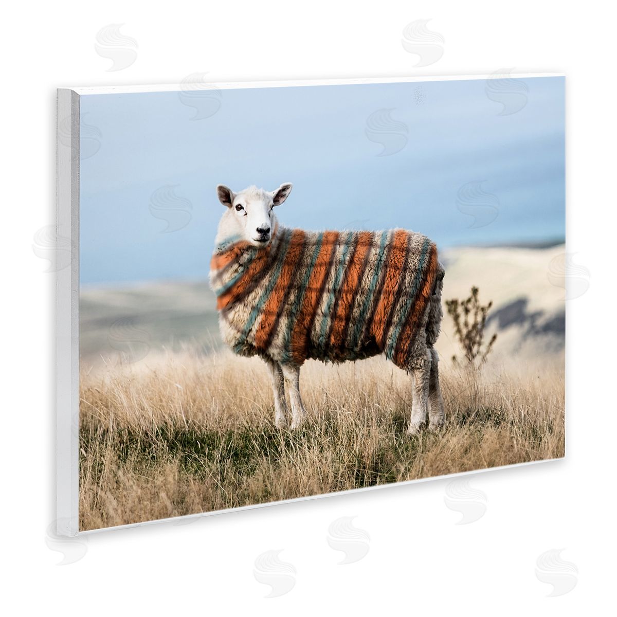 Ziwei Li Sweater Weather Sheep Animal Farm Plaid Wall Plaque Art