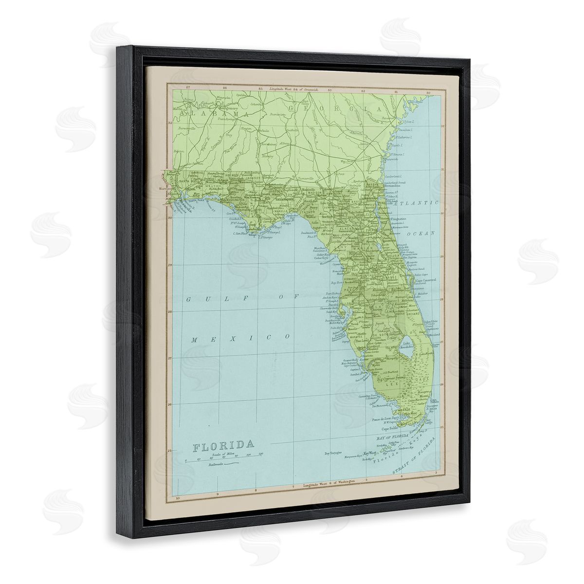 Stupell Studio Map Of Florida Classical State Border Black Floater Frame Canvas Art