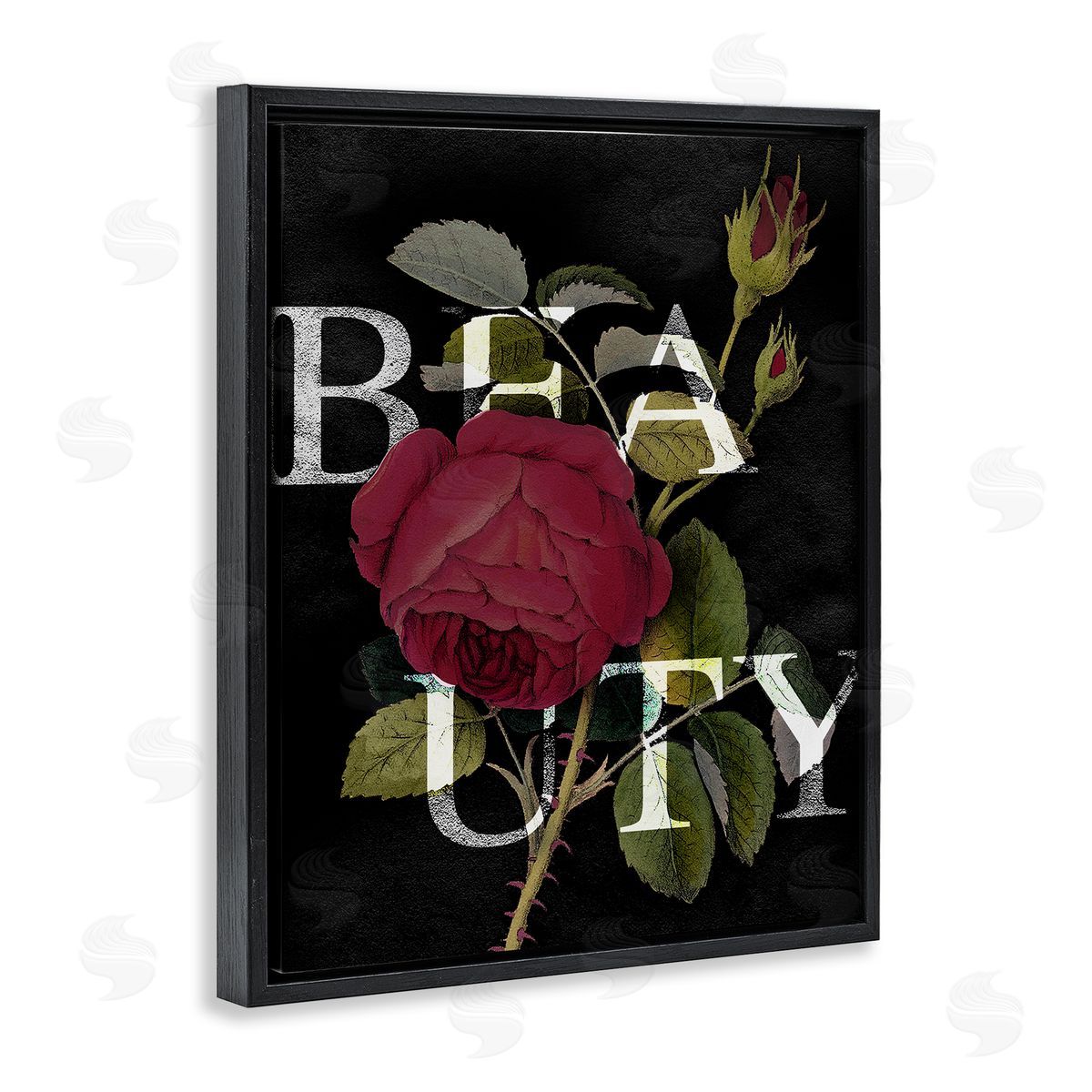 Stupell Studio Beauty Text over Vintage Red Thorned Rose Black Floater Frame Canvas Art