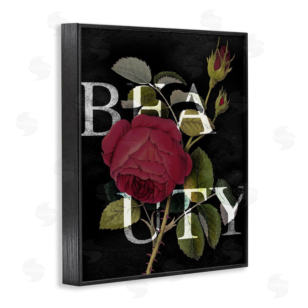 Stupell Studio Beauty Text over Vintage Red Thorned Rose Black Framed Giclee Wall Art