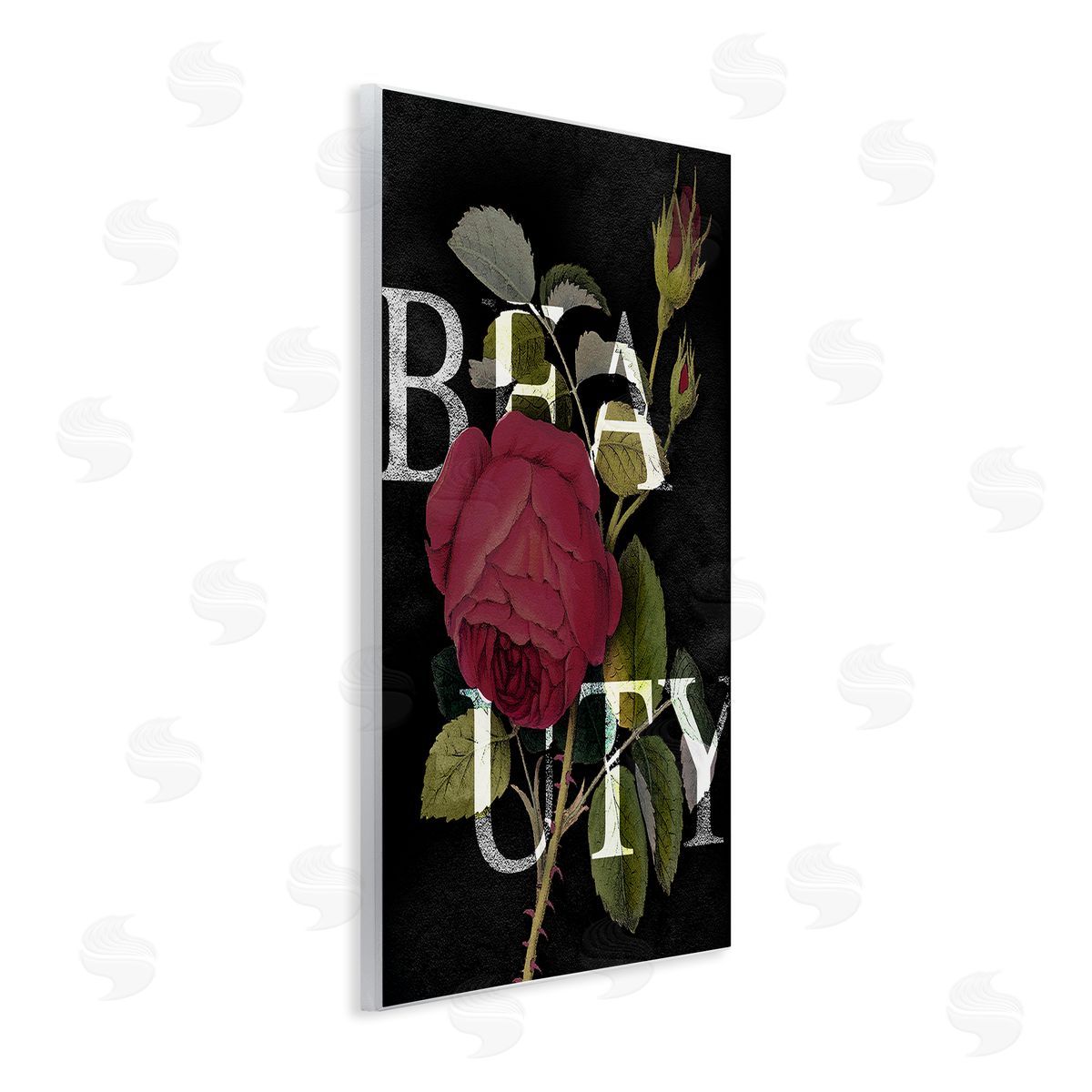 Stupell Studio Beauty Text over Vintage Red Thorned Rose Wall Plaque Art