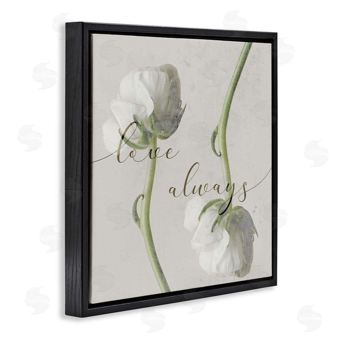 Stupell Studio Love Always Phrase Asymmetrical Floral White Roses Black Floater Frame Canvas Art