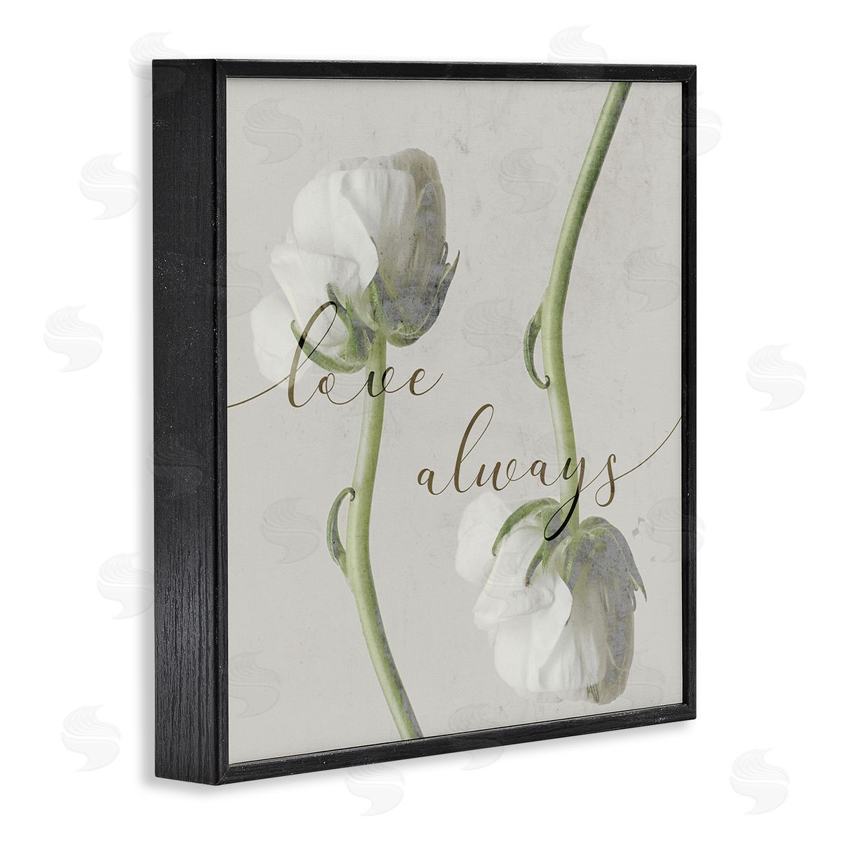 Stupell Studio Love Always Phrase Asymmetrical Floral White Roses Black Framed Giclee Wall Art