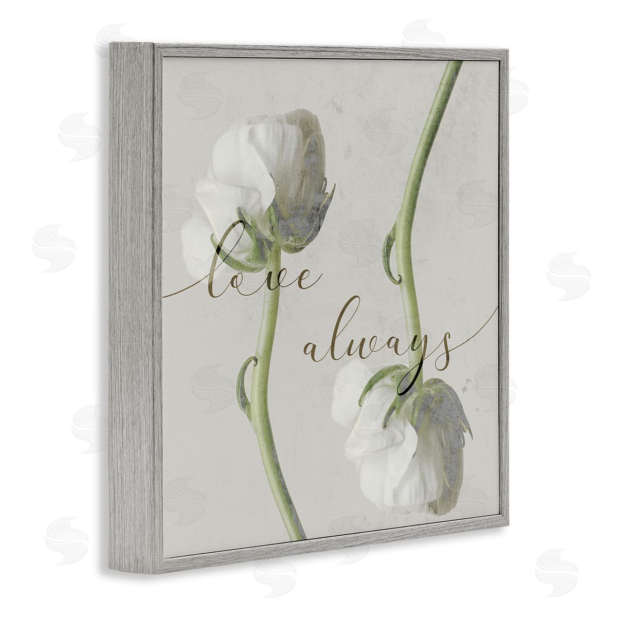 Stupell Studio Love Always Phrase Asymmetrical Floral White Roses Gray Framed Giclee Wall Art