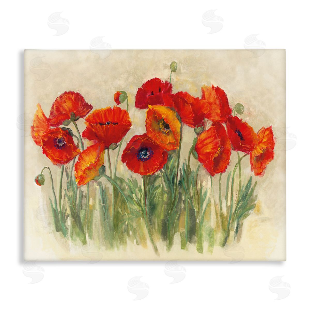 Carol Rowan Red Poppy Florals Soft Green Meadow Grass Canvas Wall Art