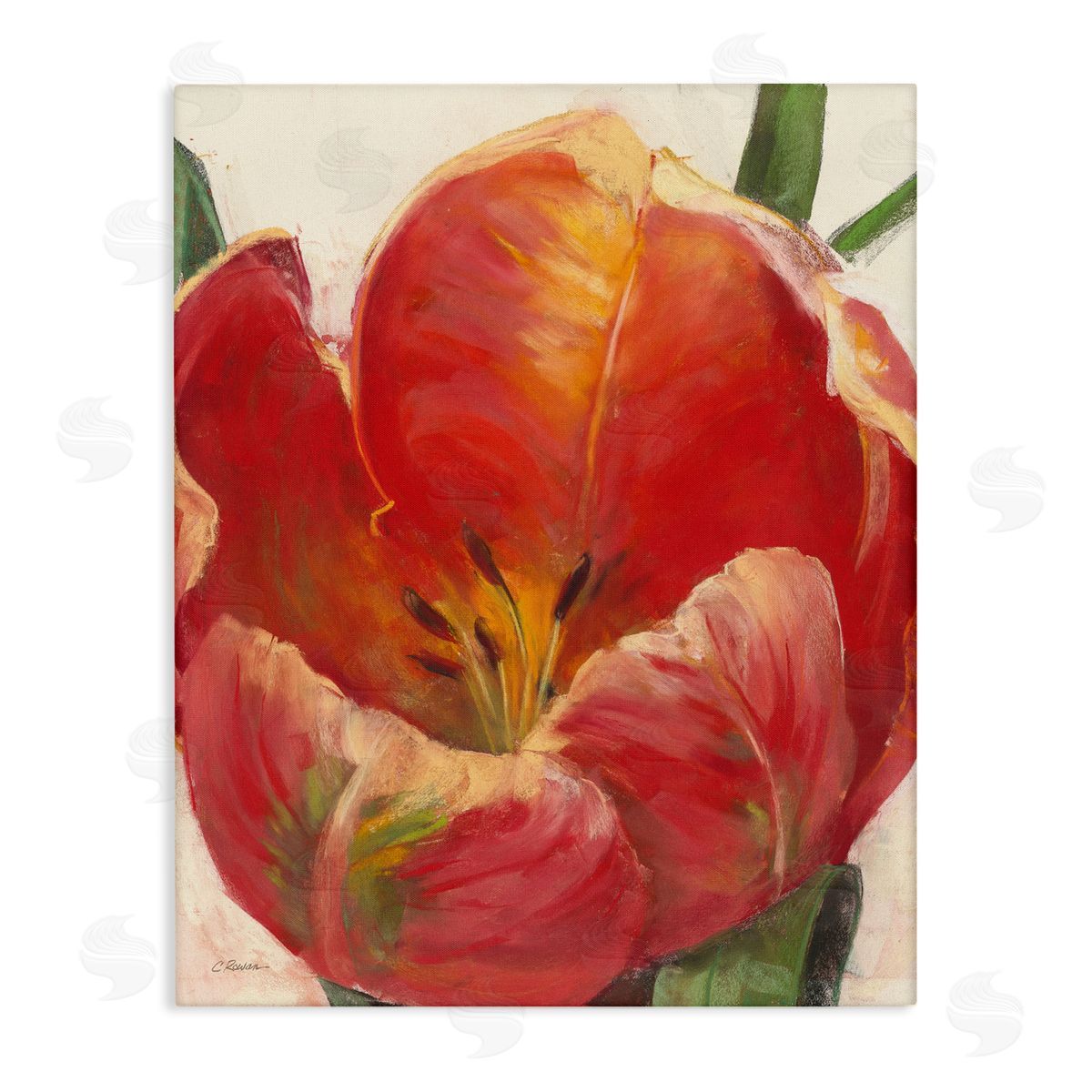 Carol Rowan Soft Red Tulip Floral Close-Up Petal Detail Canvas Wall Art