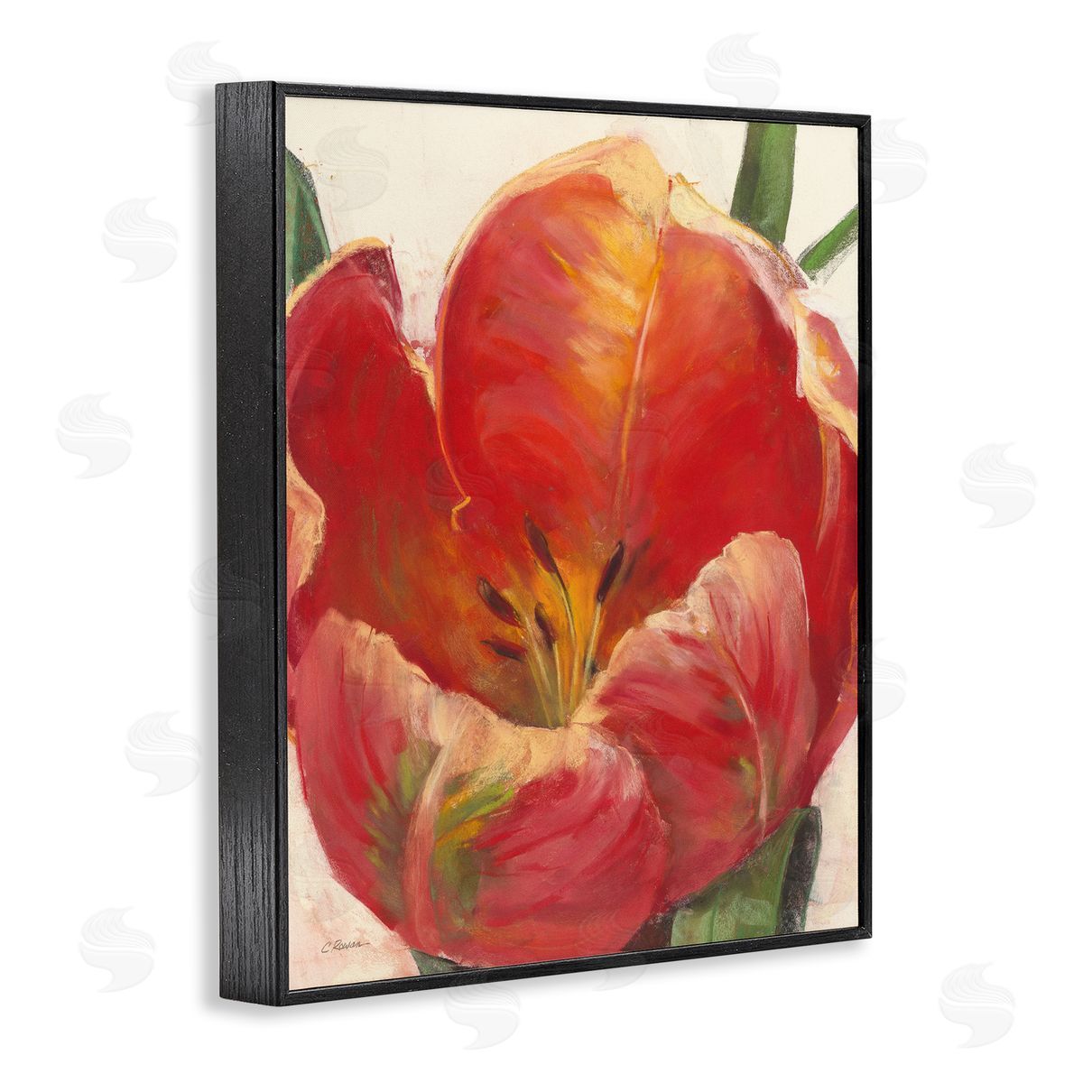 Carol Rowan Soft Red Tulip Floral Close-Up Petal Detail Black Framed Giclee Wall Art