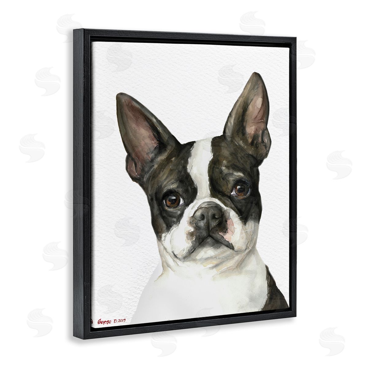 George Dyachenko Curious Boston Terrier Portrait Pet Dog Watercolor  Black Floater Frame Canvas Art