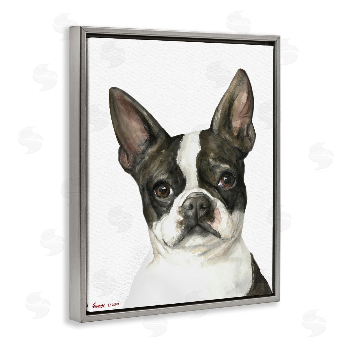 George Dyachenko Curious Boston Terrier Portrait Pet Dog Watercolor  Gray Floater Frame Canvas Art