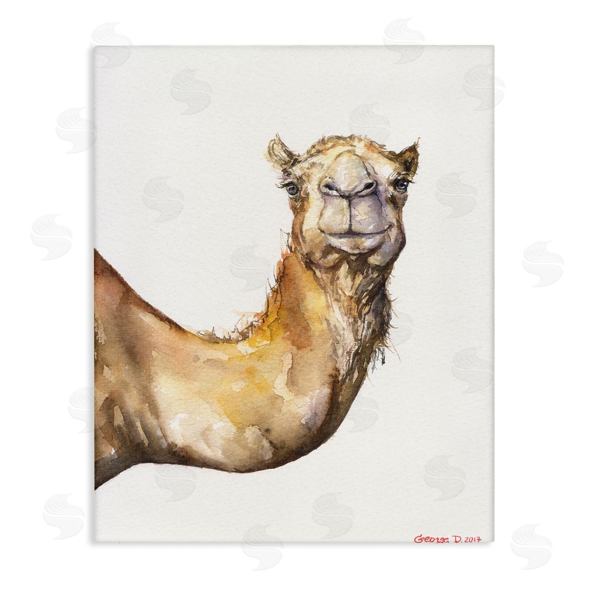 George Dyachenko Camel Side Portrait Desert Animal Tan White Canvas Wall Art