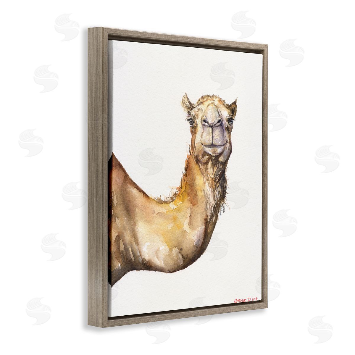 George Dyachenko Camel Side Portrait Desert Animal Tan White Brown Floater Frame Canvas Art