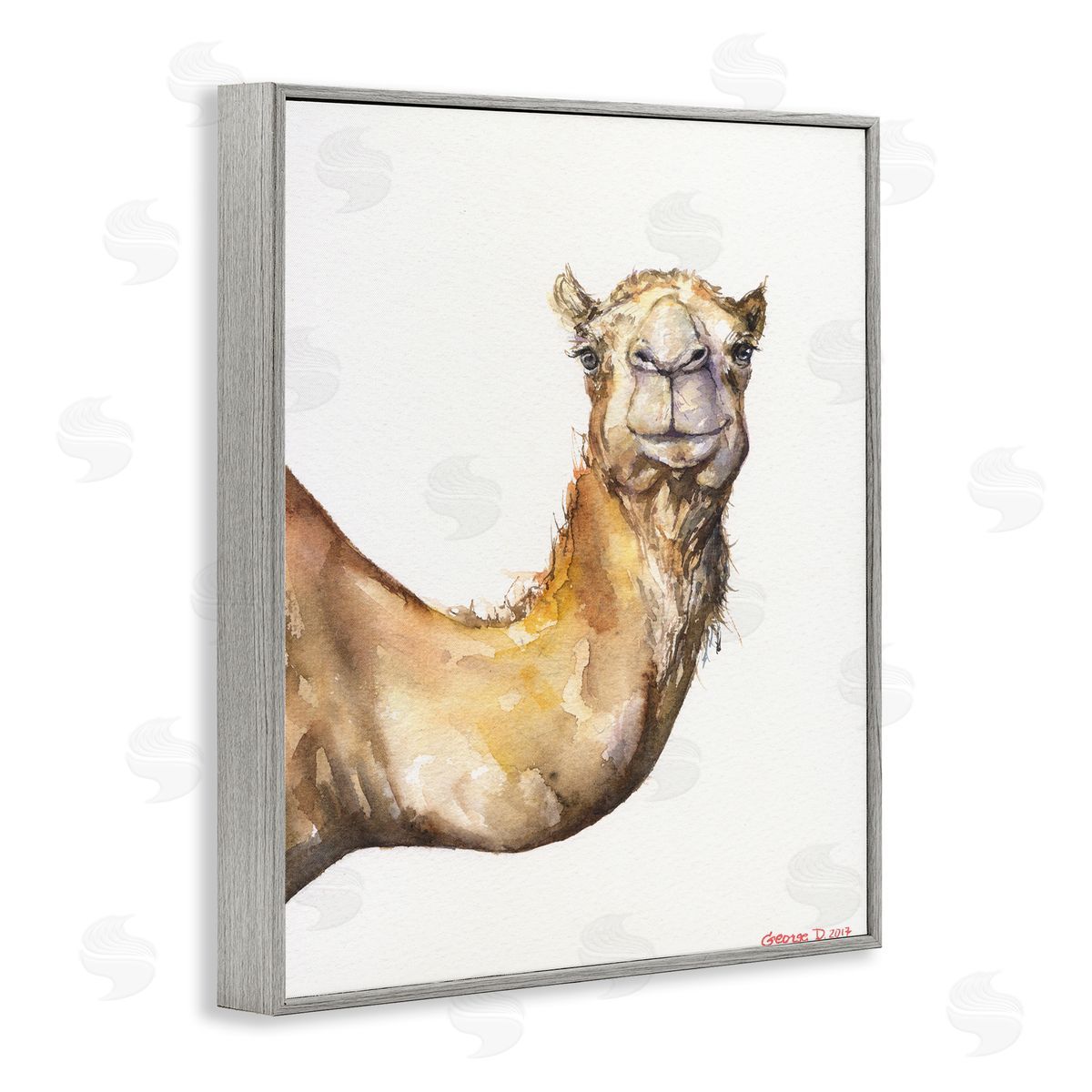 George Dyachenko Camel Side Portrait Desert Animal Tan White Gray Framed Giclee Wall Art