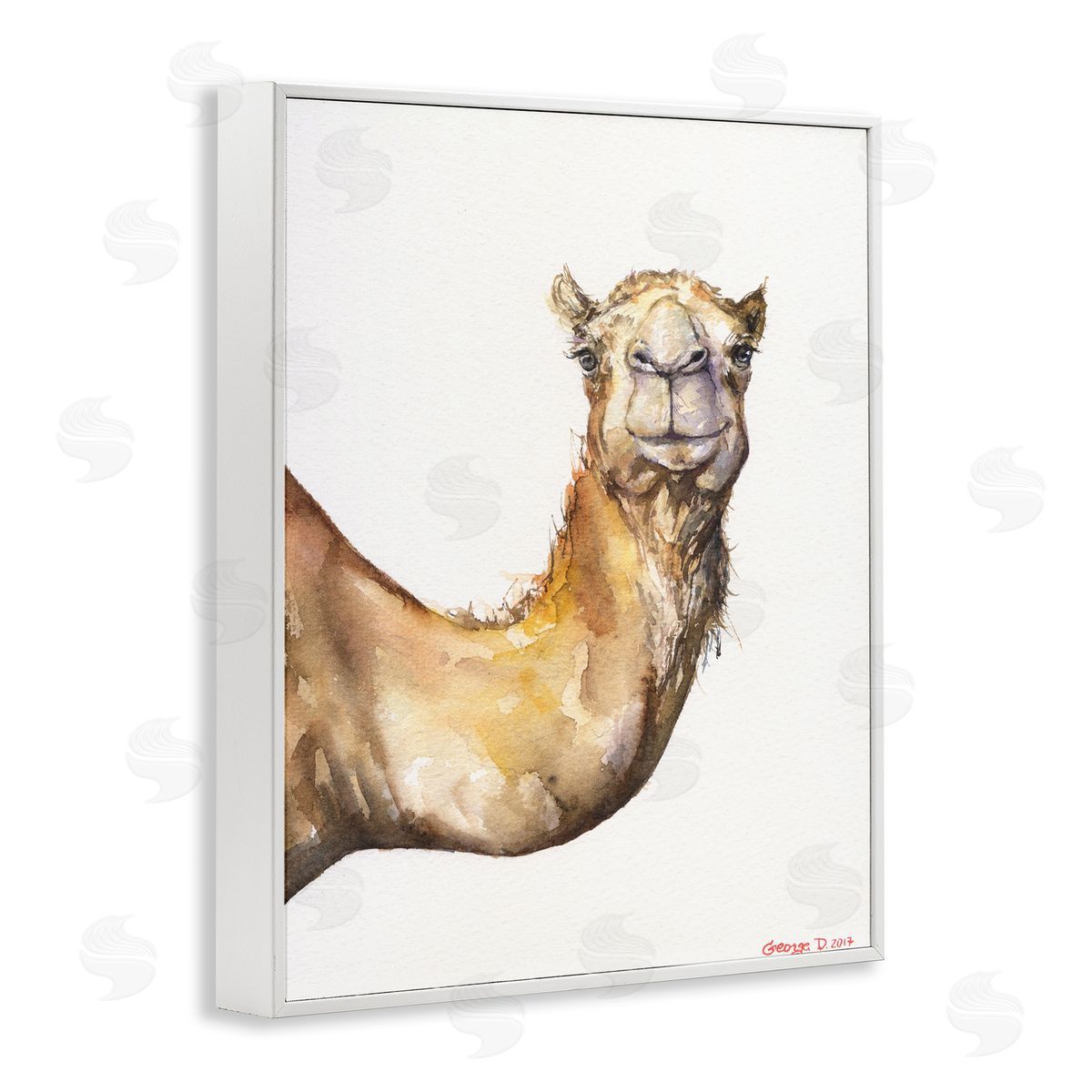 George Dyachenko Camel Side Portrait Desert Animal Tan White White Framed Giclee Wall Art
