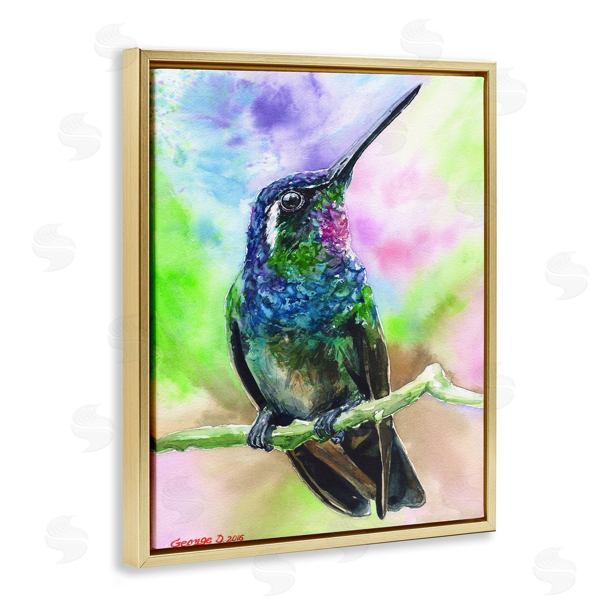 George Dyachenko Vibrant Hummingbird Perched Soft Tie-Dye Gold Floater Frame Canvas Art