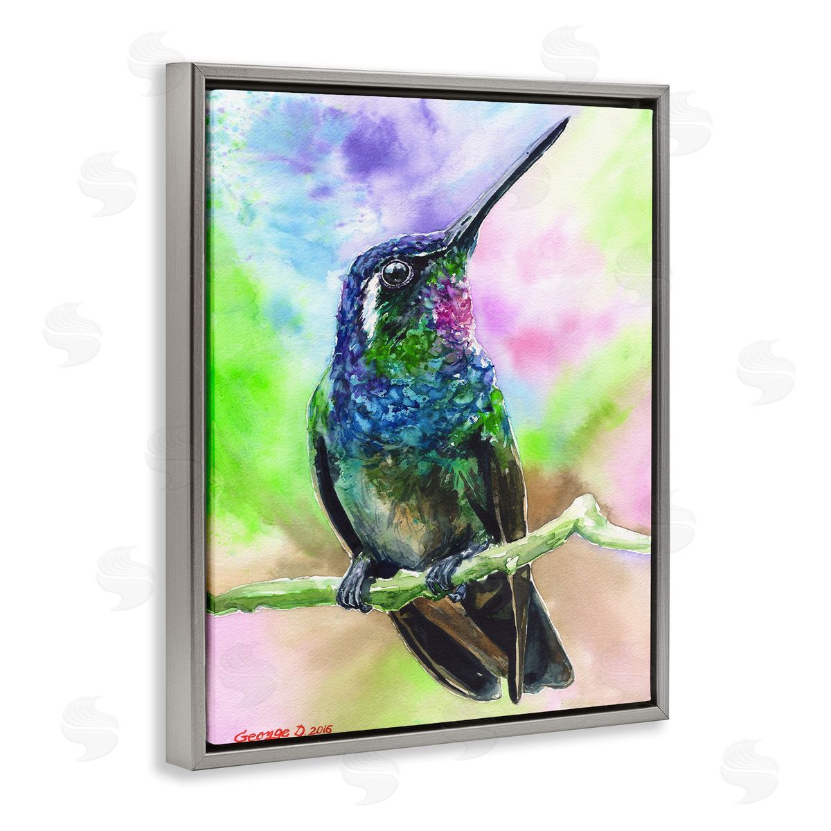 George Dyachenko Vibrant Hummingbird Perched Soft Tie-Dye Gray Floater Frame Canvas Art
